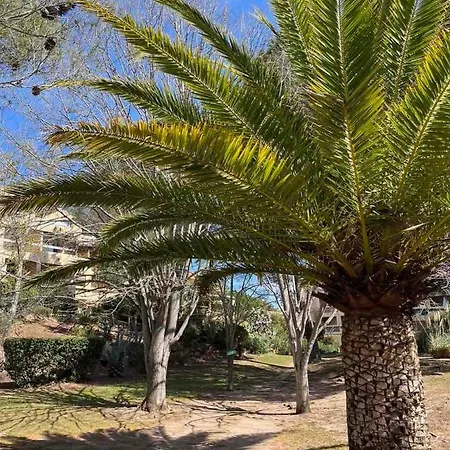 Appart Estivale Pr 4pax Acces Plage * Saint-Raphael (Var)